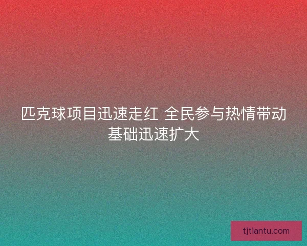 匹克球项目迅速走红 全民参与热情带动基础迅速扩大